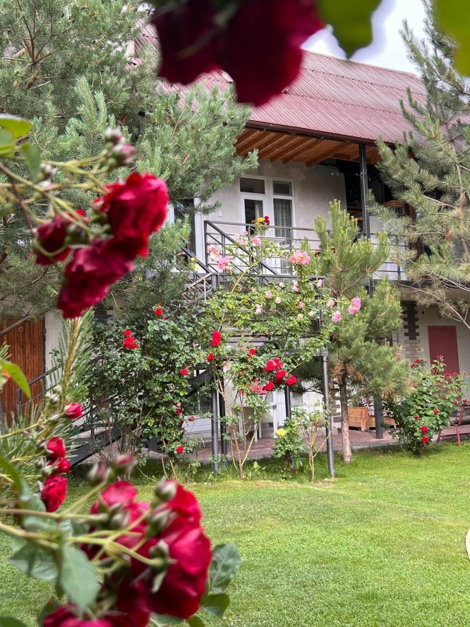 Podsolnukhi Guest House Cholpon-Ata Exterior photo